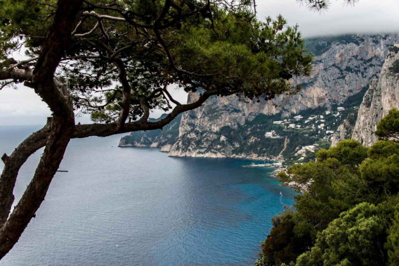 Villacore Capri Buitenkant foto